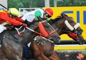 Jose Verenzuela (red cap) gets the bob aboard Play On to return to the winner's enclosure at Kranji.<br>Photo by Singapore Turf Club